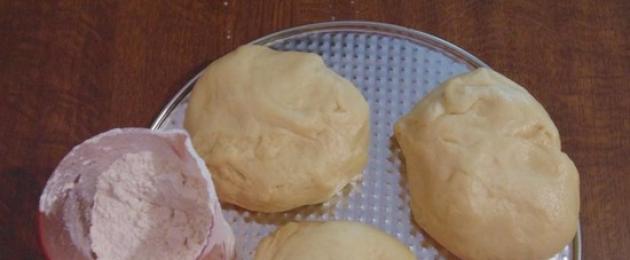 Пошаговый рецепт приготовления пирога с маком. Пирог с маком: все секреты вкусной маковой выпечки и начинки Рецепт пирога с маком в мультиварке