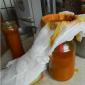Sea buckthorn oil: healing properties and methods of preparation at home