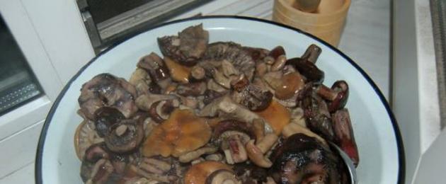 Poplar milk mushrooms how much to soak.  How to soak milk mushrooms before frying, salting and pickling.  How to clean mushrooms quickly and correctly?  Appetizing boletus, chanterelles and champignons - the decoration of any dish