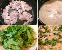 Pasta with chicken and mushrooms recipes with photos Pasta with chicken and mushrooms in creamy sauce