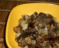 Secrets and recipes for cooking fried forest mushrooms Honey mushrooms fried in oil for the winter