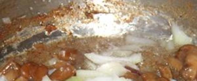 Labākās receptes ceptu medus agariku ziemai.  Ceptas sēnes ar sīpoliem - visgaršīgākās receptes ēdieniem ar sēnēm Ceptas sēnes ziemai saulespuķu eļļā
