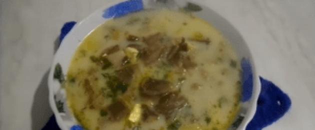Recept za supu sa suvim pečurkama bukovača.  Kako kuhati juhu od gljiva od bukovača: opcije.  Juha od bukovača.  Juha od bukovača i karfiola