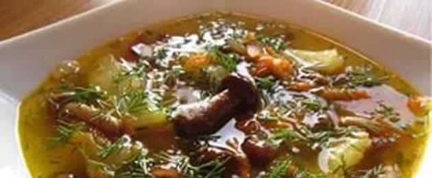 Грибной суп из замороженных грибов. Грибной суп на мясном бульоне: аромат осени на вашей кухне Какой бульон для грибного супа