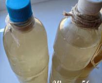 Birch sap - home canning - canning recipes - do it yourself - master class, tips