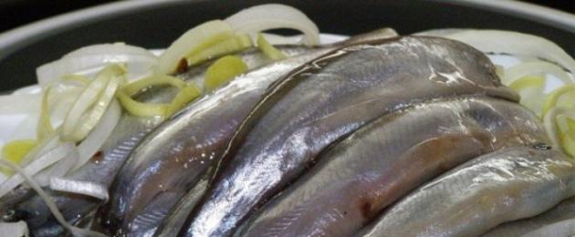 Homemade marinated capelin.  Pickled capelin: recipes for cooking at home How to pickle capelin at home