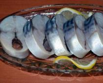 Bachelor recipes on how to salt mackerel tasty and quickly