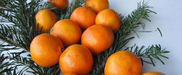 Moroccan mandarins 10 Seeds 