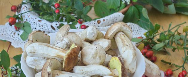 겨울 동안 폴란드 버섯을 절이는 방법.  폴란드 버섯에 대한 설명과 그 요리법.  폴란드 버섯 요리법