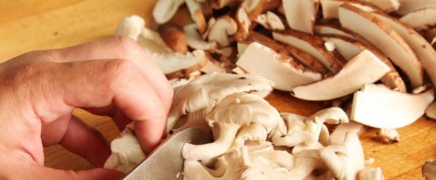 Какое блюдо приготовить из вешенок. Как правильно готовить лесные грибы вешенки. Как готовить вешенки — быстрый и вкусный рецепт